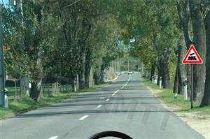 Ao efectuar o atravessamento de uma passagem de nível, devo saber que: