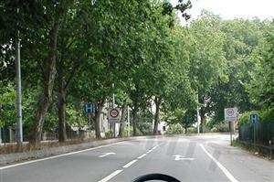 Na via de trânsito onde me encontro, a marca rodoviária: