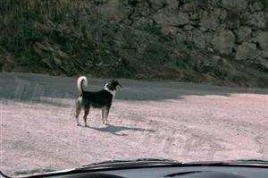 O que devo fazer nesta situação?