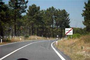 No preciso local em que me encontro a velocidade máxima permitida para todos os automóveis ligeiros é de 50 km/h.