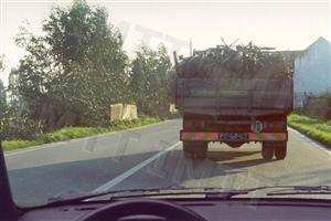 Neste local, posso transpor a linha marcada no pavimento.