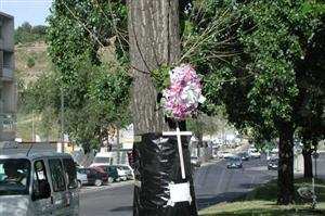 Adaptar a velocidade às situações de trânsito com que o condutor se depara, é uma forma de: