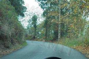 Ao aproximar-me da curva, estou obrigado a moderar a velocidade do meu veículo?