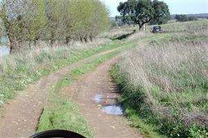 Conduzo um automóvel ligeiro de passageiros. Se circular nesta via a 85/90 km/h: