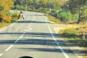 O Código da Estrada sanciona o condutor de um veículo de tracção animal que cause impedimento para o trânsito?
