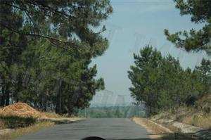 Fora das localidades, qual é a velocidade máxima permitida para os automóveis ligeiros de passageiros com reboque?